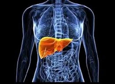 Αιμοχρωμάτωση: Η «σιωπηλή» ασθένεια που καταστρέφει το ήπαρ